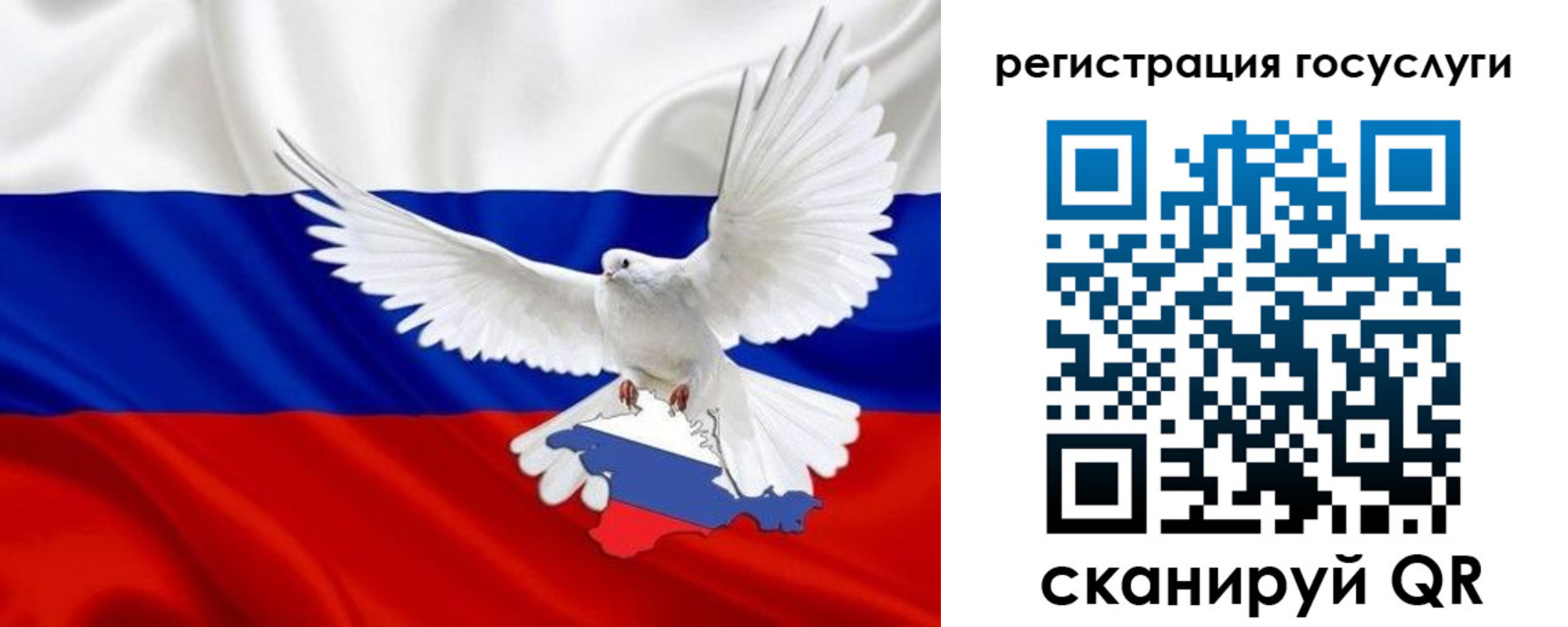 прописка законно в Жуковке